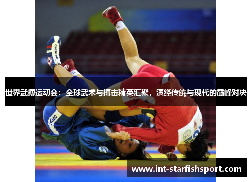 世界武搏运动会：全球武术与搏击精英汇聚，演绎传统与现代的巅峰对决
